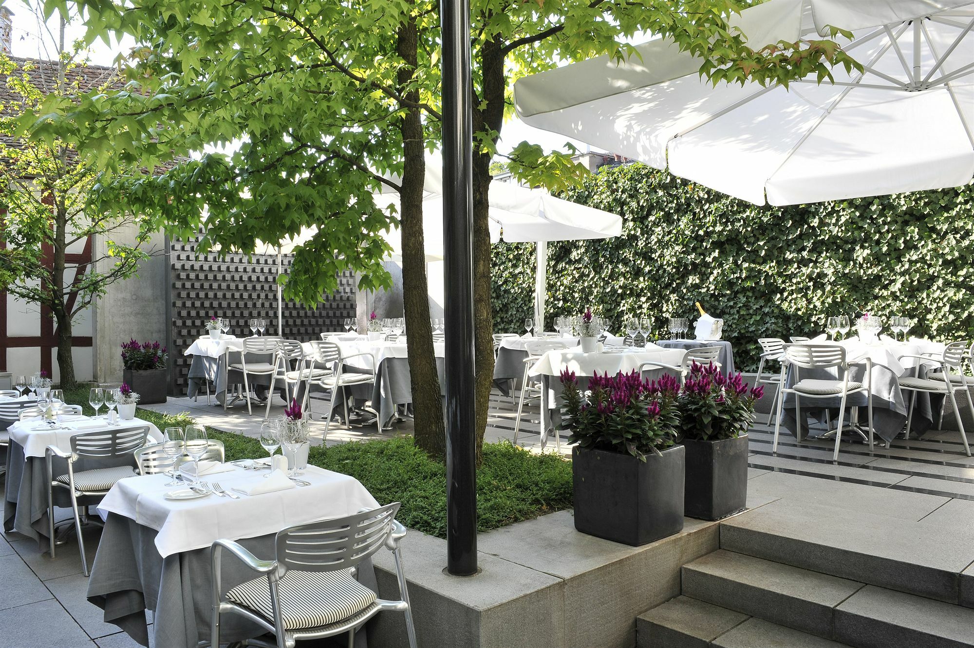 Widder Hotel - Zurichs Luxury Hideaway Restaurante foto